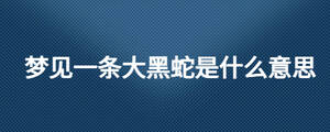 夢見一條大黑蛇是什么意思