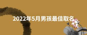 2022年5月男孩最佳取名