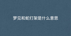 深色背景 - 2022-12-01T144440.928.jpg